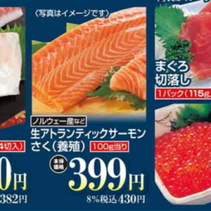 サーモン（さく取り）