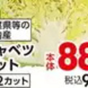 きゃべつ