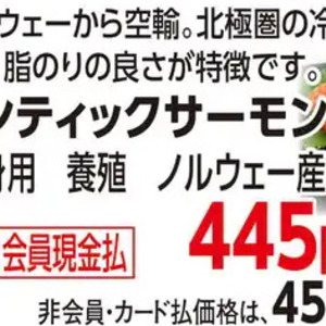 サーモン（さく取り）