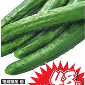 きゅうり