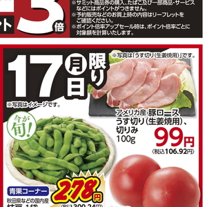 豚ロース薄切り
