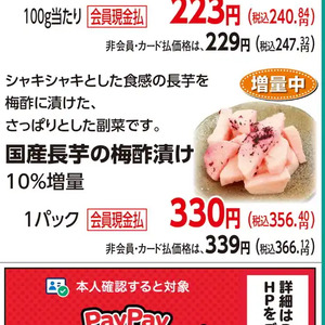 ながいも