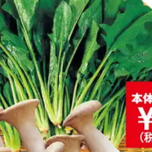 ほうれん草