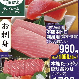 まぐろ中とろ