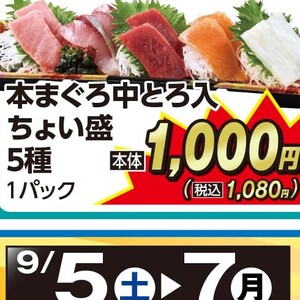まぐろ中とろ