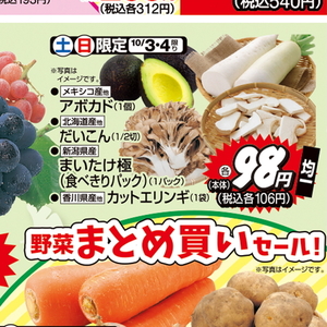 まいたけ