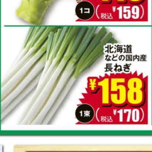ながねぎ