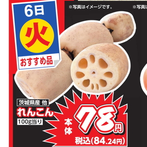 レンコン