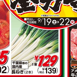 ながねぎ