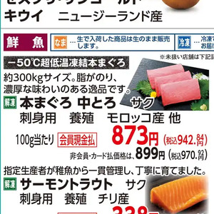 まぐろ中とろ