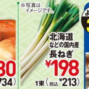 ながねぎ