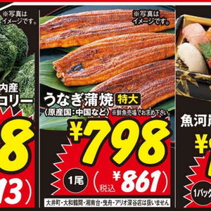 うなぎの蒲焼き