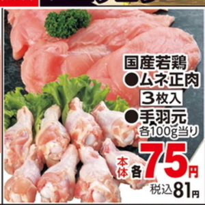 鶏手羽元
