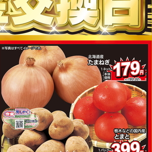 たまねぎ