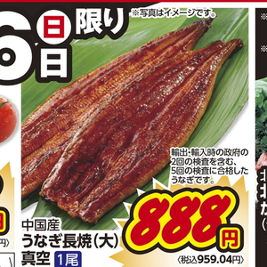 うなぎの蒲焼き