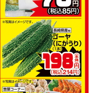 ゴーヤ