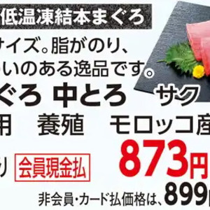 まぐろ中とろ