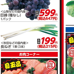 ながねぎ