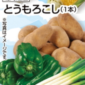 じゃがいも
