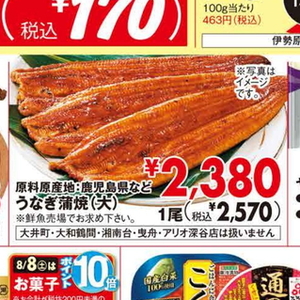 うなぎの蒲焼き