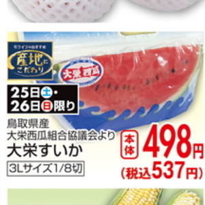 まぐろ中とろ