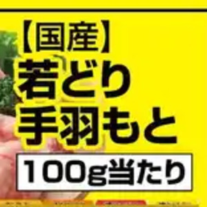 鶏手羽元