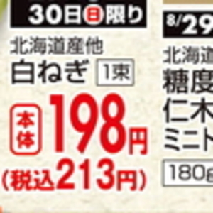 ながねぎ