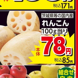 レンコン