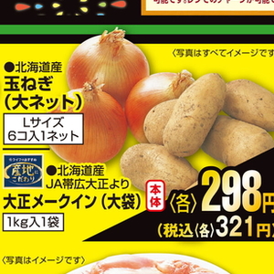 たまねぎ