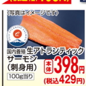 サーモン（刺身）