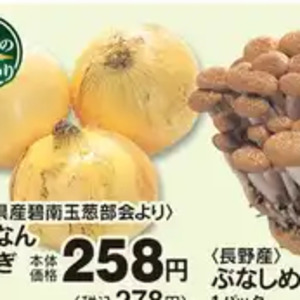 たまねぎ