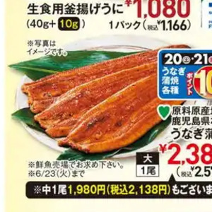うなぎの蒲焼き