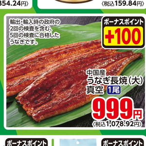 うなぎの蒲焼き