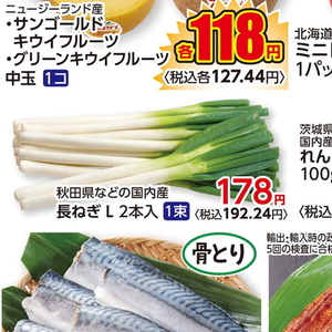 ながねぎ