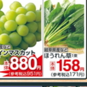 ながねぎ