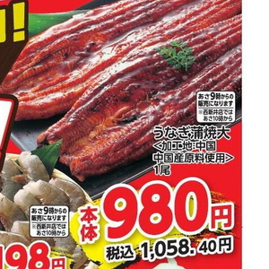 うなぎの蒲焼き