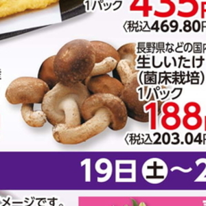 しいたけ