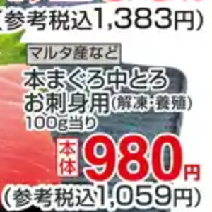 まぐろ中とろ