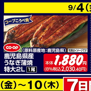 うなぎの蒲焼き