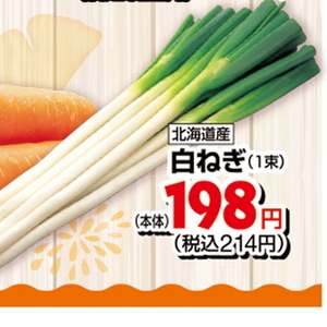 ながねぎ