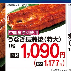 うなぎの蒲焼き