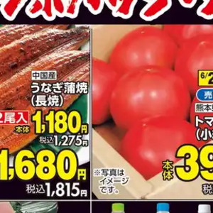 うなぎの蒲焼き