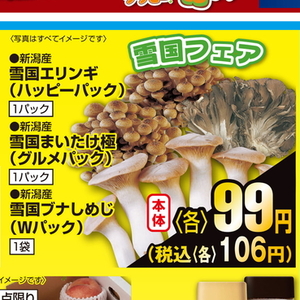 エリンギ