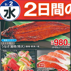うなぎの蒲焼き
