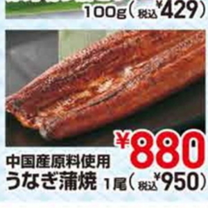 うなぎの蒲焼き