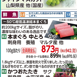 まぐろ中とろ