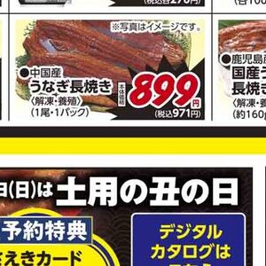 うなぎの蒲焼き