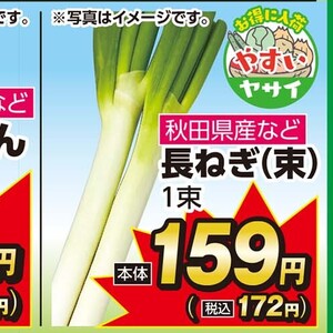 ながねぎ