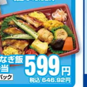 うなぎの蒲焼き