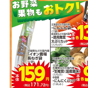ながねぎ